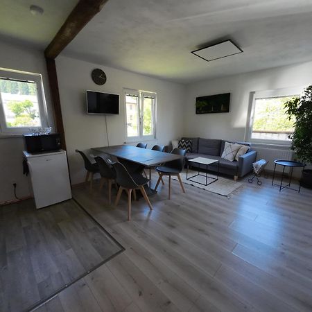 Apartman Andrea Loučovice Eksteriør bilde